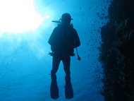 Padi Research about Scuba Diving as therapy